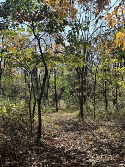 East Hanover Township Nature Park - Grantville, PA