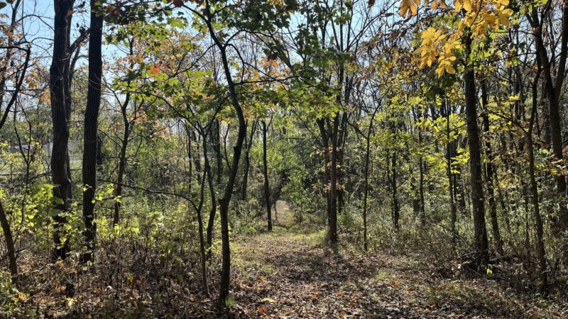 East Hanover Township Nature Park - Grantville, PA