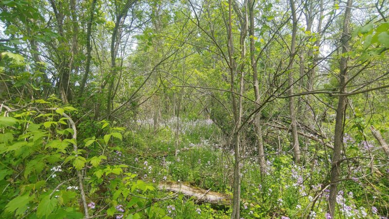Granville Little League Park - Granville, NY