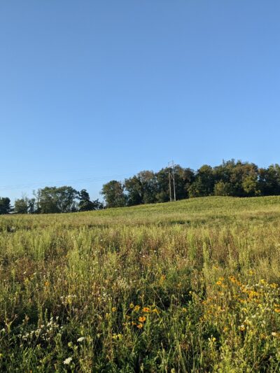 Licking Park District - Granville, OH