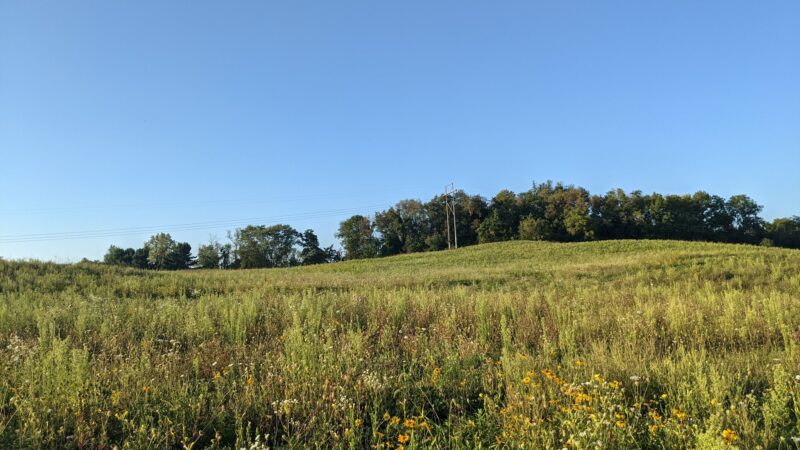 Licking Park District - Granville, OH