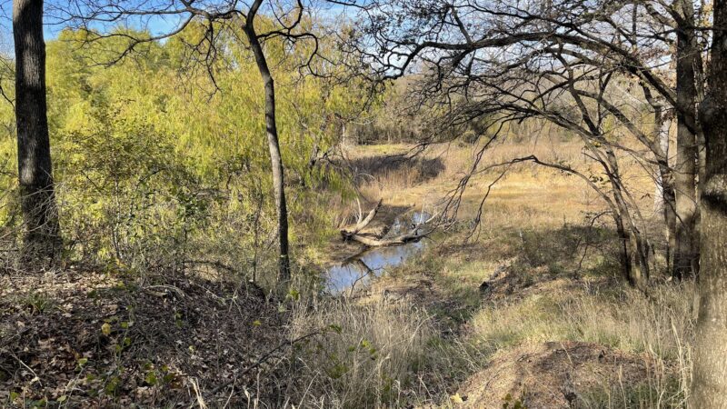 Acorn Woods Park - Grapevine, TX