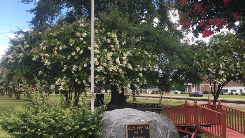Centennial Park - Gray Court, SC