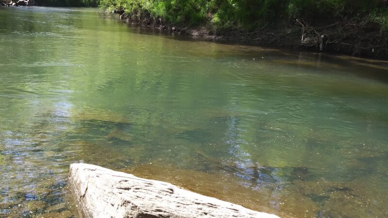 Brookside Greenway & Ball Park - Graysville, AL