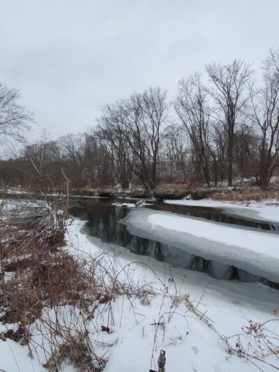 Housatonic Flats Reserve - Great Barrington, MA