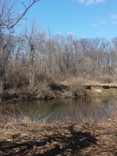 Housatonic Flats Reserve - Great Barrington, MA