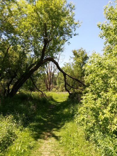 Housatonic Flats Reserve - Great Barrington, MA