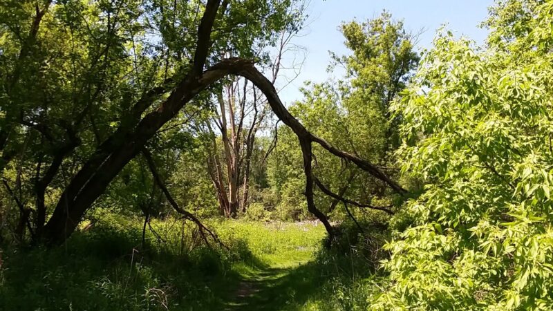 Housatonic Flats Reserve - Great Barrington, MA