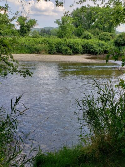 Housatonic Flats Reserve - Great Barrington, MA