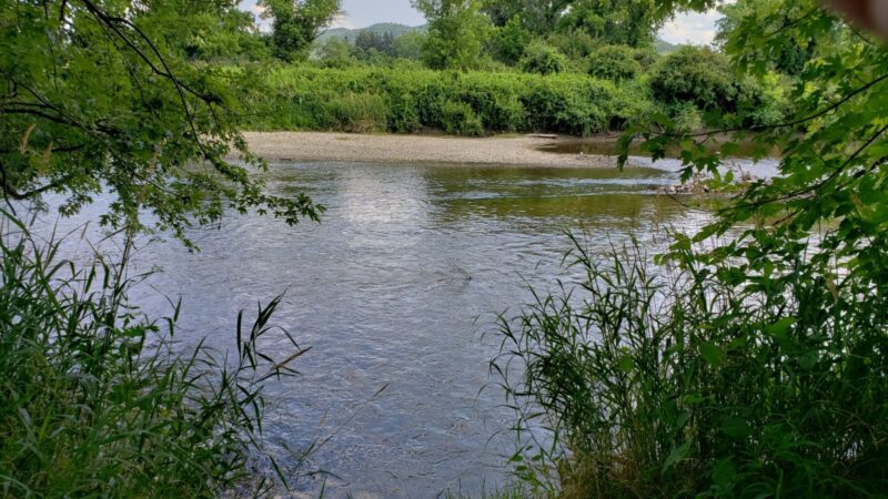 Housatonic Flats Reserve - Great Barrington, MA