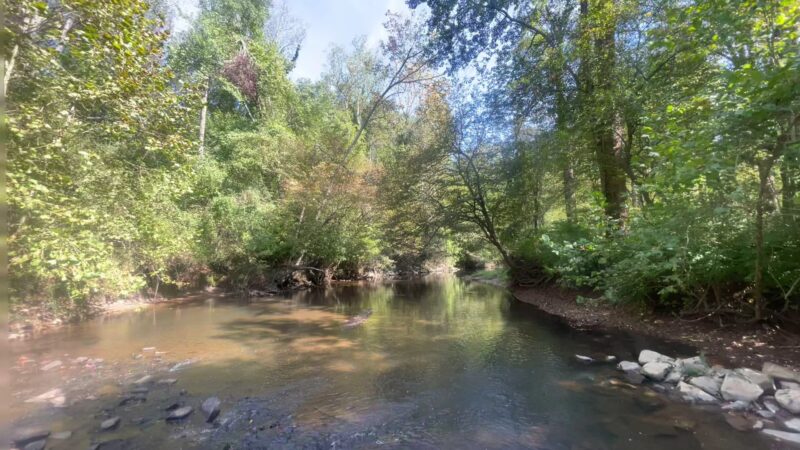 Mile 2.5 and Cross County Trail Access Point - Great Falls, VA