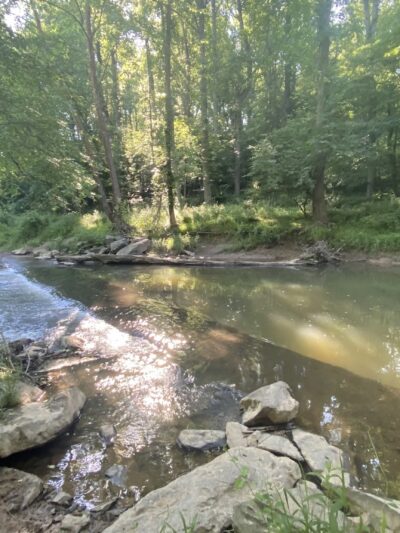 Mile 2.5 and Cross County Trail Access Point - Great Falls, VA