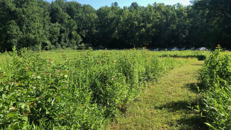 Mile 2.5 and Cross County Trail Access Point - Great Falls, VA