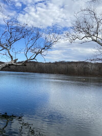 Great Falls VA - Great Falls, VA
