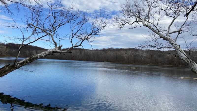Great Falls VA - Great Falls, VA