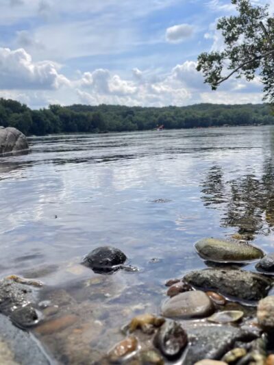 Great Falls VA - Great Falls, VA