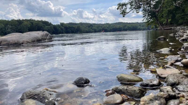 Great Falls VA - Great Falls, VA