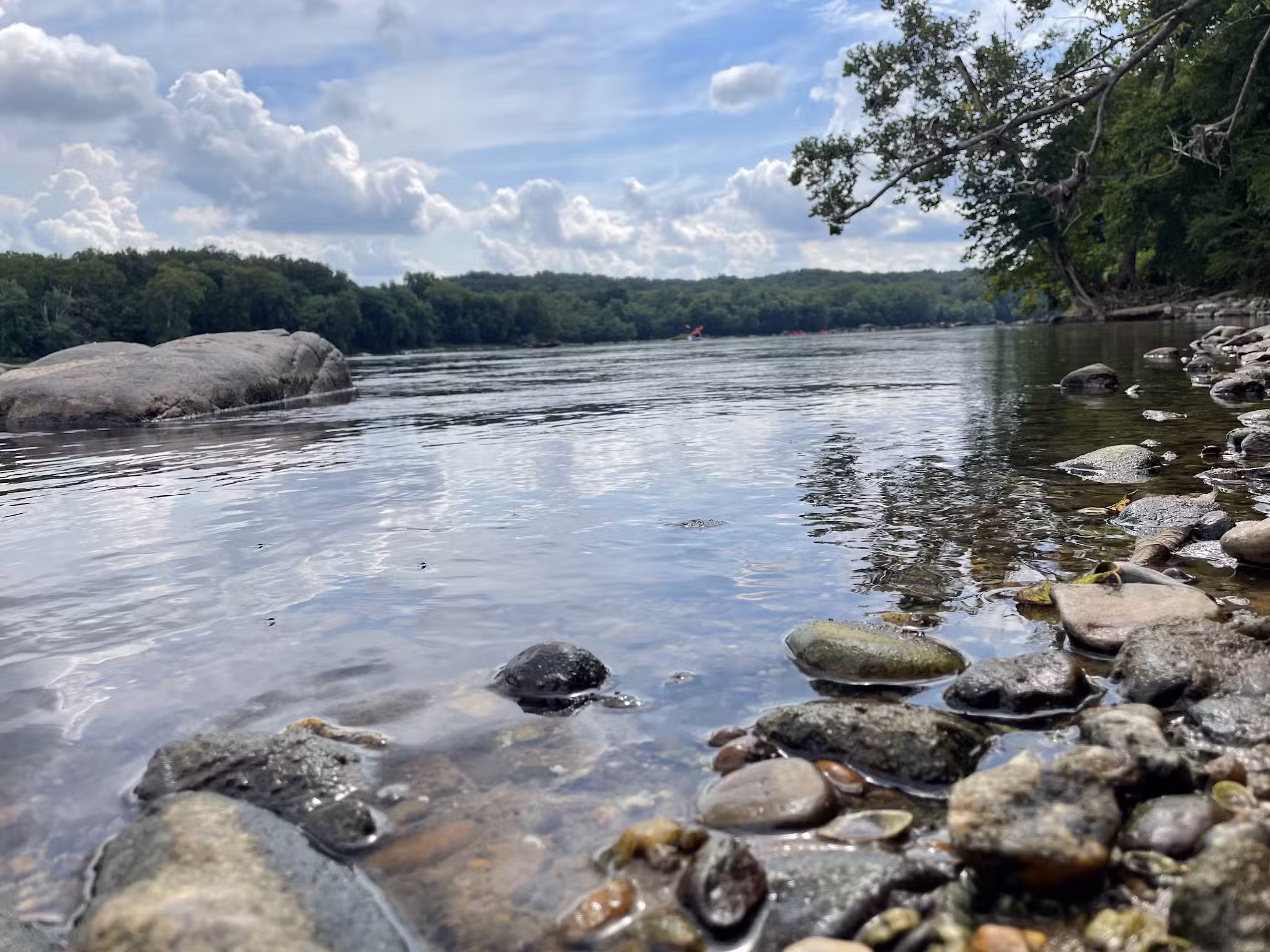 Great Falls VA - Great Falls, VA