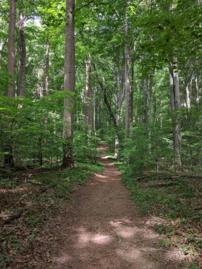 Potomac-Heritage Trail, VA - Great Falls, VA