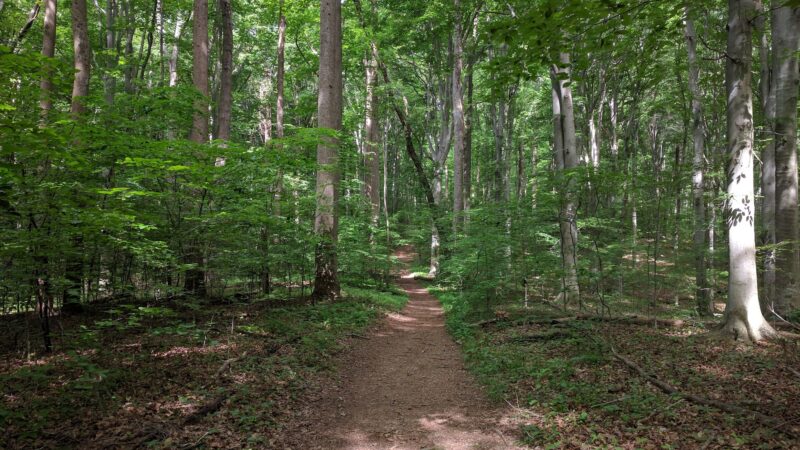 Potomac-Heritage Trail, VA - Great Falls, VA