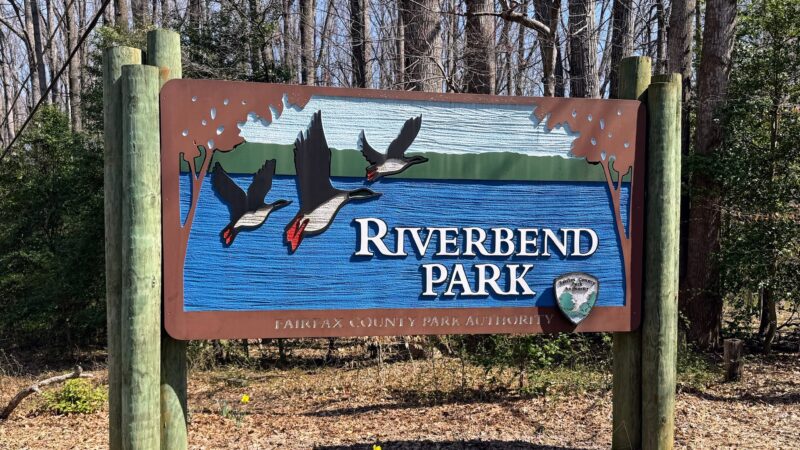Riverbend Park - Great Falls, VA