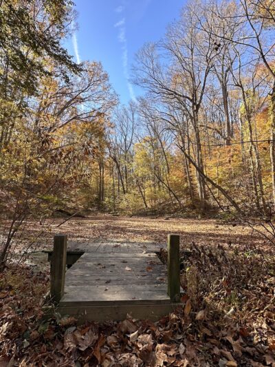 Riverbend Park - Great Falls, VA