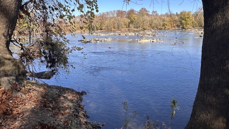 Riverbend Park - Great Falls, VA