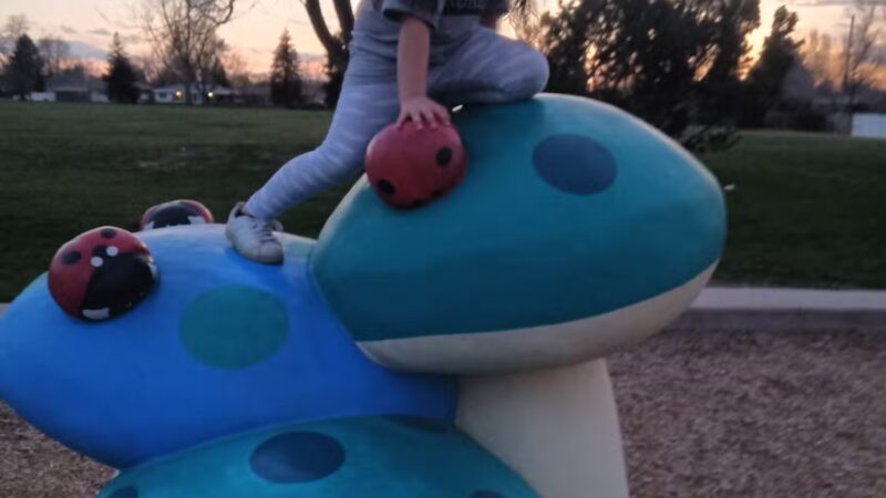 Broadview Park - Greeley, CO