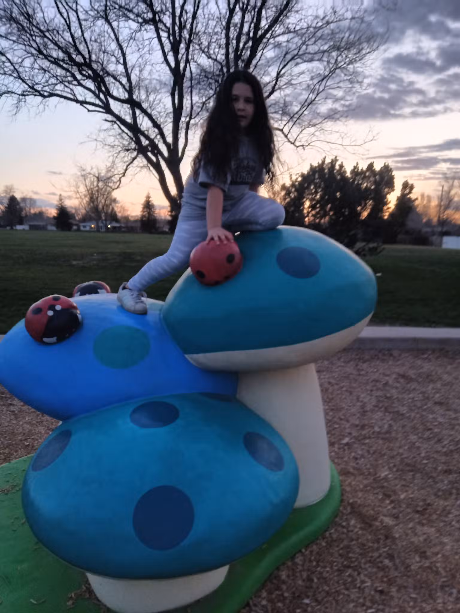 Broadview Park - Greeley, CO