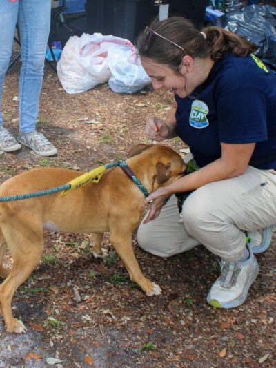 Clay County Animal Services - Green Cove Springs, FL