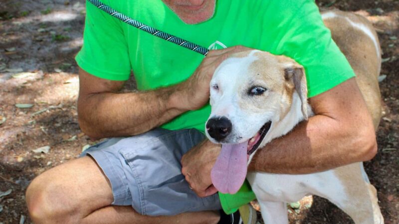 Clay County Animal Services - Green Cove Springs, FL