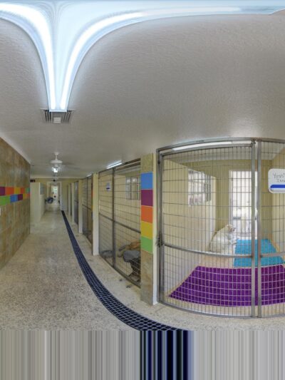 Happy Dog Inn - Green Cove Springs, FL