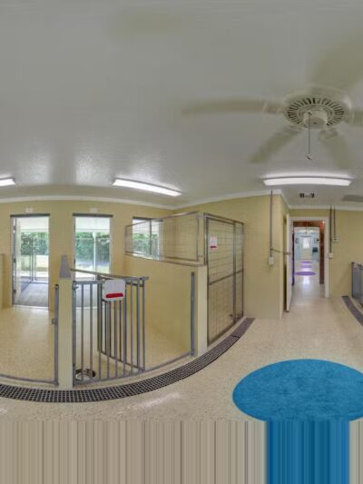 Happy Dog Inn - Green Cove Springs, FL