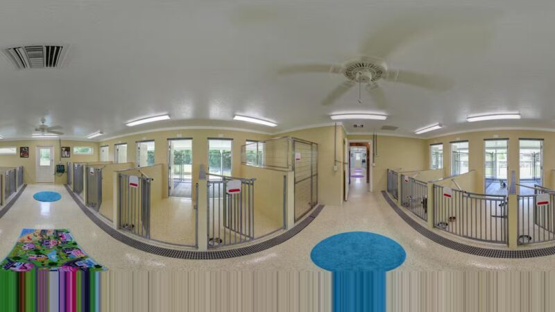 Happy Dog Inn - Green Cove Springs, FL