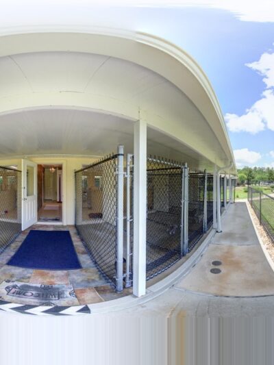 Happy Dog Inn - Green Cove Springs, FL