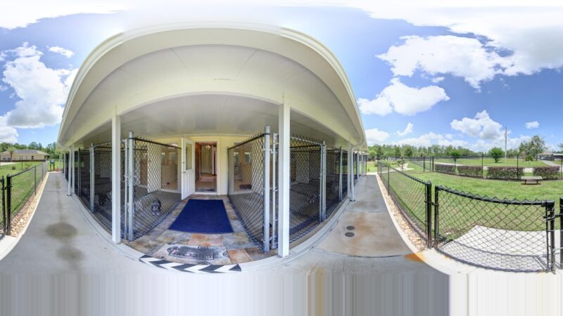 Happy Dog Inn - Green Cove Springs, FL