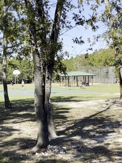 Ronnie Van Zant Memorial Park - Green Cove Springs, FL