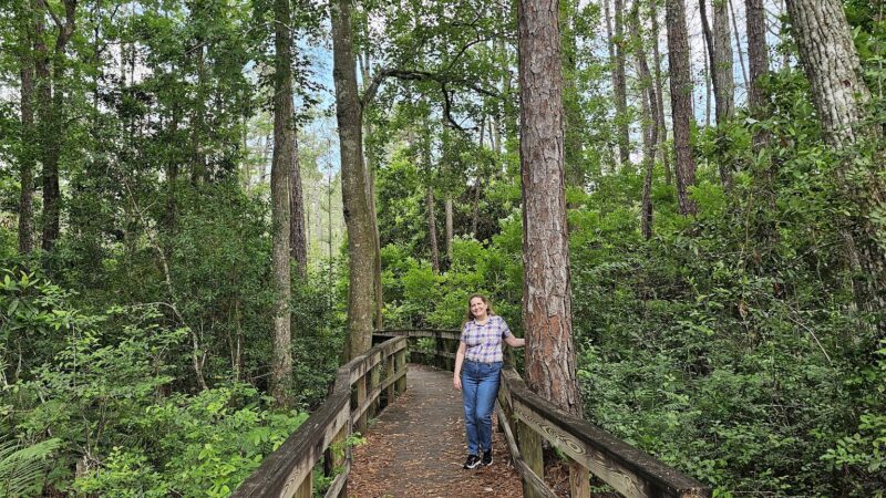 Ronnie Van Zant Memorial Park - Green Cove Springs, FL