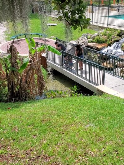 Spring Park - Green Cove Springs, FL