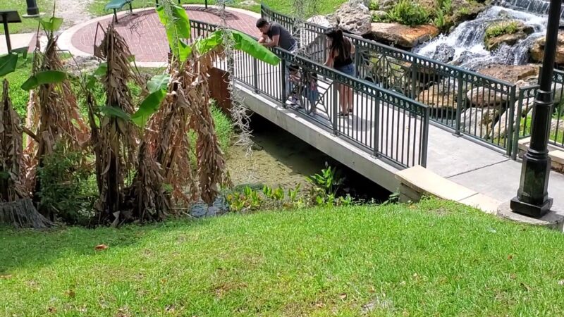 Spring Park - Green Cove Springs, FL