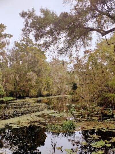 Vera Francis Hall Park - Green Cove Springs, FL