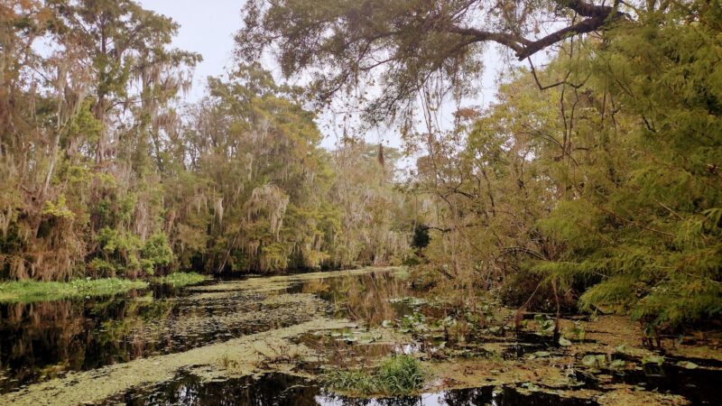 Vera Francis Hall Park - Green Cove Springs, FL