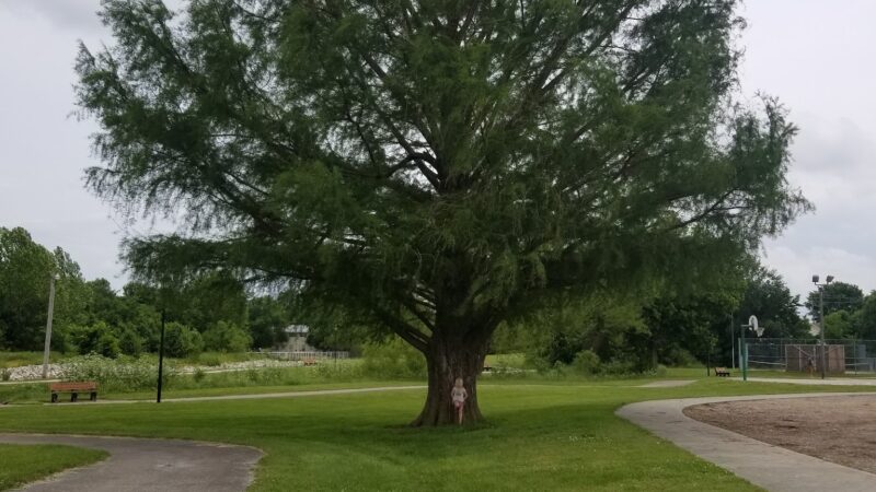 Green Forest City Park - Green Forest, AR