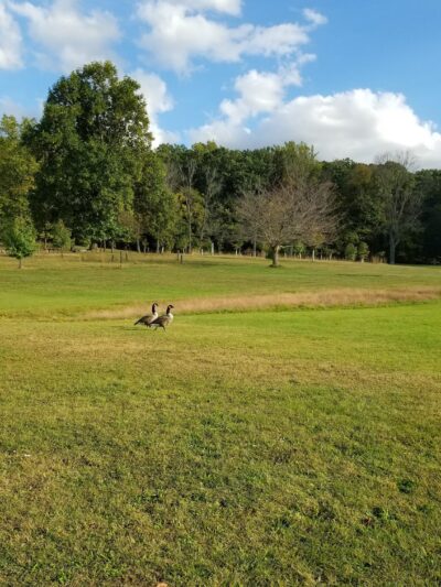 Green Lane Park - Green Lane, PA