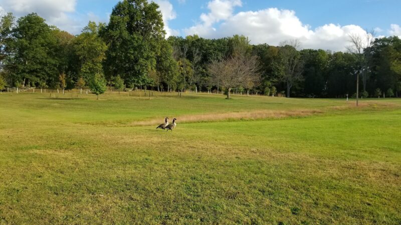 Green Lane Park - Green Lane, PA