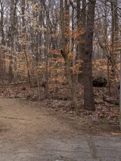 Green Lane Park - Green Lane, PA