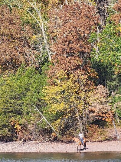 TH blue trail access Green Lane - Green Lane, PA