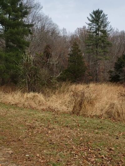 TH blue trail access Green Lane - Green Lane, PA