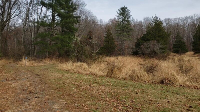 TH blue trail access Green Lane - Green Lane, PA