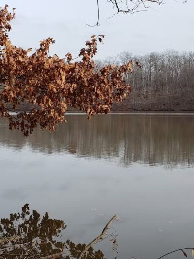 TH blue trail access Green Lane - Green Lane, PA